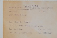 尖葉槭藏品圖，第2張