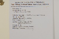 繁縷藏品圖，第2張