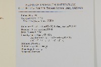 雀舌草藏品圖，第2張