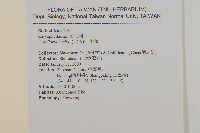 繁縷藏品圖，第2張