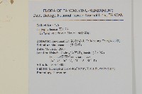 網脈繁縷藏品圖，第2張