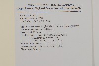 繁縷藏品圖，第2張