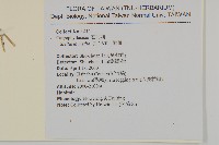 繁縷藏品圖，第2張