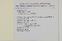 疏花繁縷藏品圖，第2張