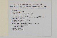 網脈繁縷藏品圖，第2張