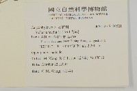 繁縷藏品圖，第2張