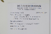 登錄號:S110522藏品圖，第2張