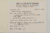 狗尾草藏品圖，第2張