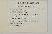 藜、灰藜藏品圖，第2張
