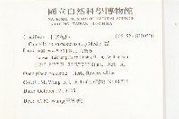 薺藏品圖，第2張