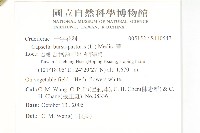 薺藏品圖，第2張