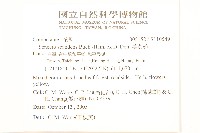 蔓黃菀藏品圖，第2張