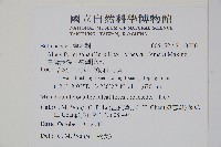 臺灣赤楊、臺灣榿木藏品圖，第2張