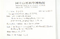 歐亞蔊菜藏品圖，第2張