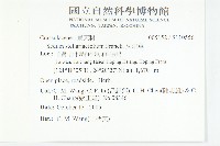 火焰草藏品圖，第2張