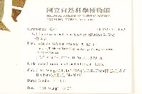 一枝黃花藏品圖，第2張