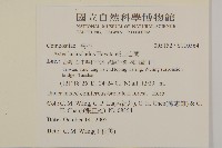 絨山白蘭藏品圖，第2張