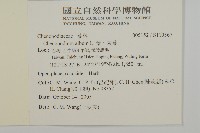 藜、灰藜藏品圖，第2張