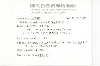 梜木藏品圖，第2張