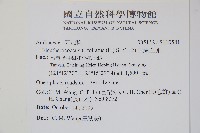 三葉五加藏品圖，第2張