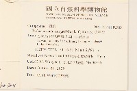 矮菊藏品圖，第2張