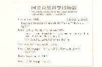 貓腥草藏品圖，第2張