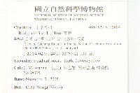 葶藶藏品圖，第2張