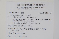 野莧菜藏品圖，第2張