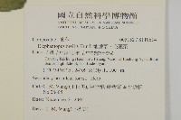 地膽草、毛蓮菜藏品圖，第2張