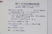 平伏莖白花菜、成功白花菜藏品圖，第2張