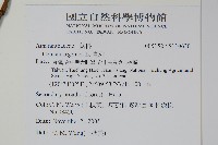 青葙藏品圖，第2張