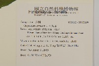 杓兒菜藏品圖，第5張