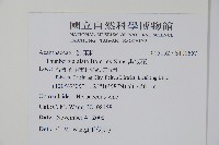 黑眼花藏品圖，第2張