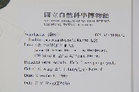 馬藍藏品圖，第2張