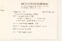 鼠麴舅藏品圖，第2張