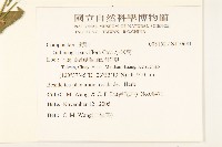 小米菊藏品圖，第2張