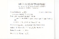 紅花野牽牛藏品圖，第2張