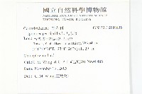 九爪藤藏品圖，第2張