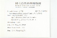 卵葉菜欒藤藏品圖，第2張