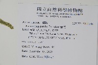 青莧藏品圖，第2張