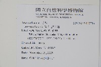 野莧菜藏品圖，第2張