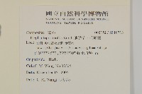 地膽草、毛蓮菜藏品圖，第2張