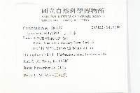 九爪藤藏品圖，第2張