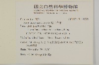 絨山白蘭藏品圖，第2張