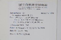 野莧菜藏品圖，第2張