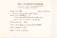 金腰箭藏品圖，第2張