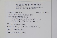 青莧藏品圖，第2張