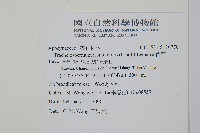 絡石藏品圖，第2張