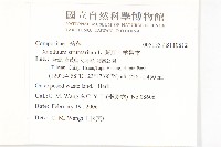 蒼耳、羊帶來藏品圖，第2張