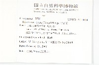 泥胡菜藏品圖，第2張